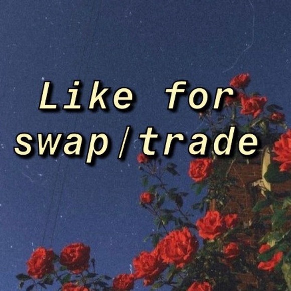 TRADING UPDATE - Picture 2 of 2